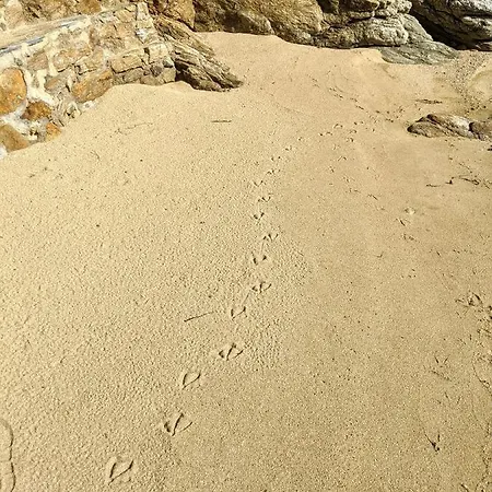 Seagull Stone Vilă *