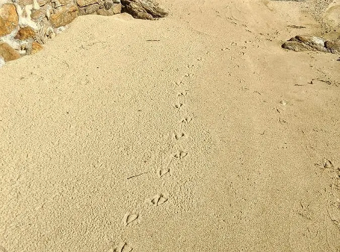 Seagull Stone Villa *