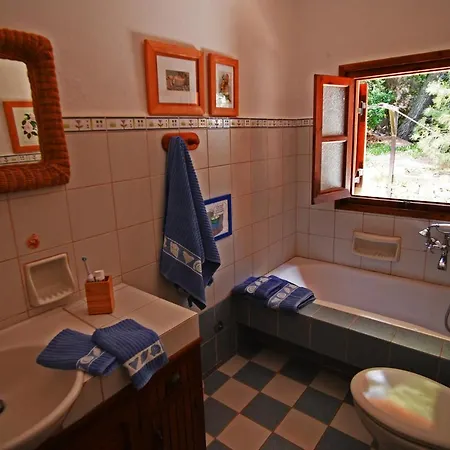 Seagull Stone Kolios