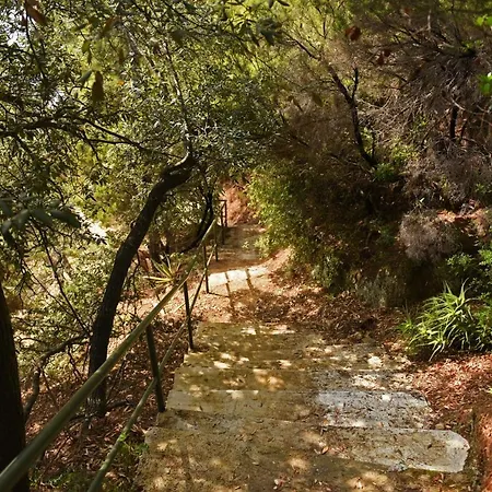 Villa Seagull Stone *