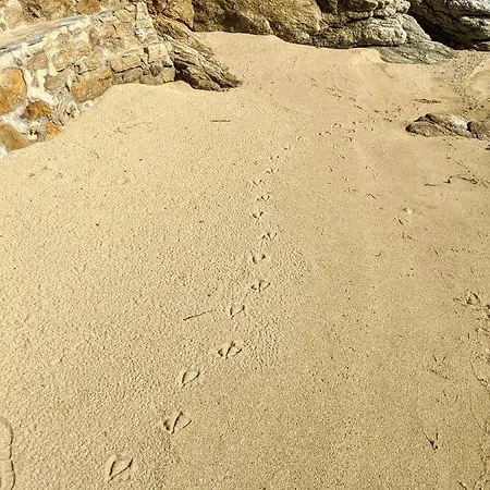 Seagull Stone Villa *